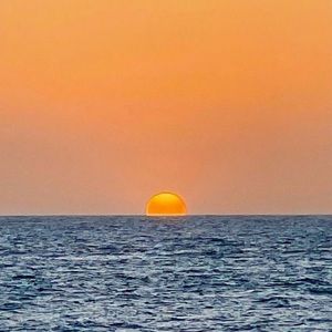 Meet your Posher, Tori